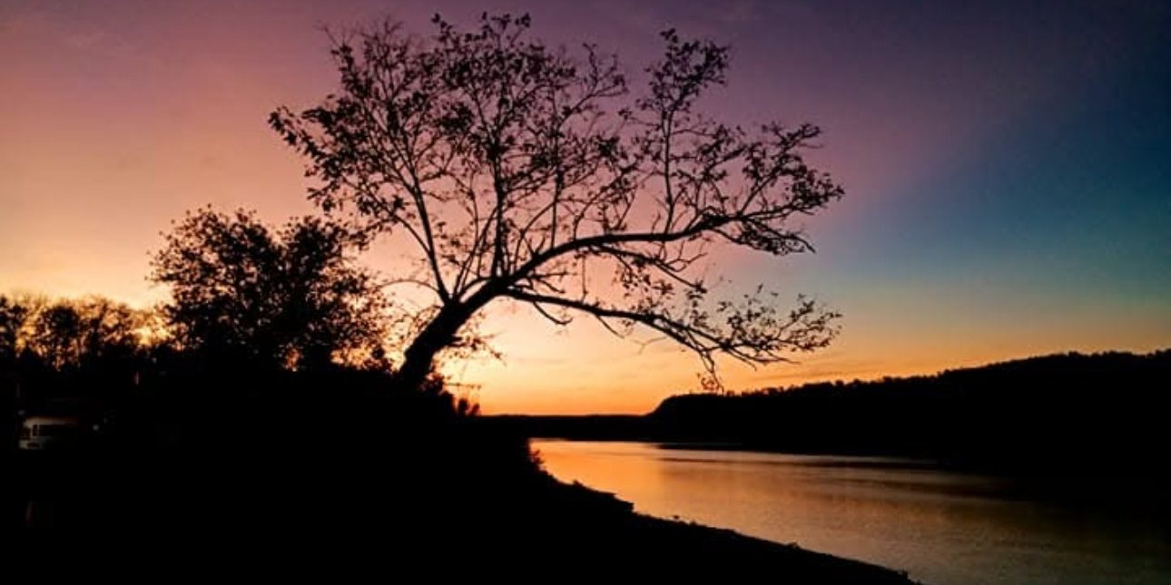 A leaning tree silhouetted against dawn over the Ohio River near West Point